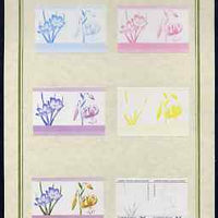 Tuvalu - Nanumaga 1985 Flowers (Leaders of the World) 25c set of 7 imperf progressive proof pairs comprising the 4 individual colours plus 2, 3 and all 4 colour composites mounted on special Format International cards (7 se-tenant proof pairs)