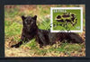 Eritrea 2001 Panther & Frog imperf souvenir sheet (with Scout Logo) fine cto used