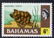 Bahamas 1971 Hawksbill Turtle 6c (CA upright wmk def set) unmounted mint, SG 364