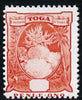 St Kitts-Nevis 1920-29 KG5 Columbus 6d,'Maryland' perf 'unused' forgery, as SG 30 - the word Forgery is either handstamped or printed on the back and comes on a presentation card with descriptive notes