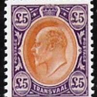 Transvaal 1903 King Edward £5,,'Maryland' perf forgery 'unused', as SG 259 - the word Forgery is either handstamped or printed on the back and comes on a presentation card with descriptive notes