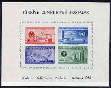 Turkey 1952 United Nations Economic Conference m/sheet unmounted mint, SG MS1468a, only 25,000 produced and on sale for less than 3 months