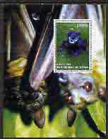 Benin 2005 Frogs #4 perf s/sheet (with Bat as background) fine cto used