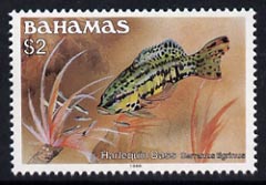 Bahamas 1986-90 Harlequin Bass $2 (1988 imprint date) mmh, SG 770B