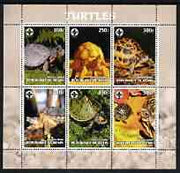 Benin 2003 Turtles #1 perf sheetlet containing 6 values each with Scouts Logo, unmounted mint