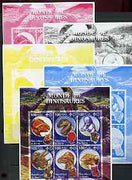 Benin 2002 World of Dinosaurs (& Minerals) imperf sheetlet containing set of 6 values each with Scout Logo, the set of 5 progressive proofs comprising the 4 individual colours plus all 4-colour composite (as issued) all unmounted mint