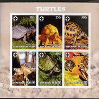 Benin 2003 Turtles #1 imperf sheetlet containing 6 values each with Scouts Logo, unmounted mint