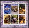 Benin 2003 Turtles #2 imperf sheetlet containing 6 values each with Scouts Logo, unmounted mint