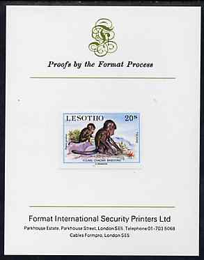 Lesotho 1984 Chacma Baboons 20s (from Baby Animals issue) imperf proof mounted on Format International proof card, as SG 612