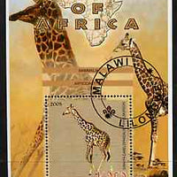 Malawi 2005 Animals of Africa - Giraffe perf m/sheet with Scout Logo with Elephant in background, fine cto used