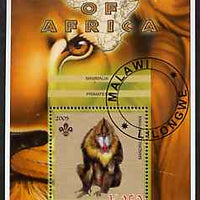 Malawi 2005 Animals of Africa - Mandrill perf m/sheet with Scout Logo, fine cto used