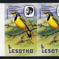 Lesotho 1982 Shrike 5s def in unmounted mint imperf pair* (SG 503)