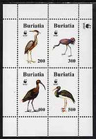 Buriatia Republic 1996 WWF - Birds perf sheetlet containing set of 4 values unmounted mint