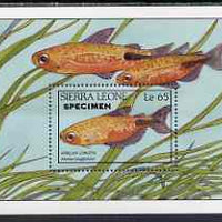 Sierra Leone 1988 Fishes m/sheet 65L overprinted SPECIMEN, SG MS 1130 unmounted mint