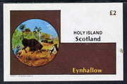 Eynhallow 1982 Fairy Tales (Adventures in the Jungle) imperf deluxe sheet (£2 value) unmounted mint