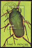 St Thomas & Prince Islands 1996 Beetles perf m/sheet (June Beetle) fine cto used