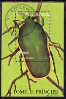 St Thomas & Prince Islands 1996 Beetles perf m/sheet (June Beetle) fine cto used