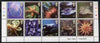 Great Britain 2007 Sea life perf set of 10 values unmounted mint SG 2699a