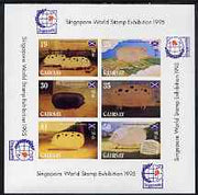 Gairsay 1995 Chinese New Year - Year of the Pig imperf sheetlet containing 6 values with Singapore 95 logo in margins, unmounted mint