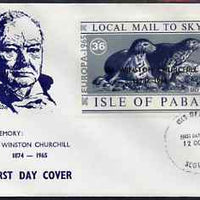 Pabay 1965 Europa (Seal) 3s6d value with Churchill overprint on illustrated cover with first day cancel (Rosen PA37)