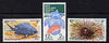 New Zealand 1979 Health - Marine Life & Photography set of 3 unmounted mint SG 1197-99