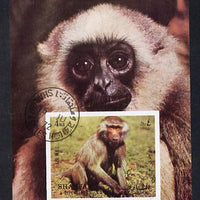 Sharjah 1972 Monkeys imperf m/sheet cto used Mi 117