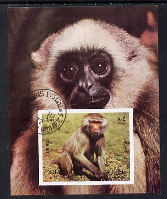 Sharjah 1972 Monkeys imperf m/sheet cto used Mi 117