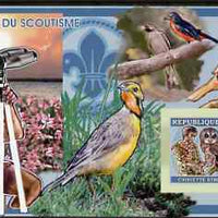 Guinea - Conakry 2006 Centenary of Scouting imperf s/sheet #04 containing 1 value (Owls) unmounted mint Yv 340