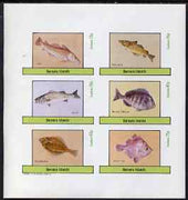 Bernera 1983 Fish (Cod, Pollack, Bass, Bream, Flounder & Boar) imperf set of 6 values unmounted mint