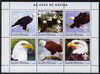 Guinea - Bissau 2003 Eagles perf sheetlet containing 6 x 500 values (each with Scout Logo) unmounted mint