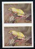 Zambia 1989 Reed Frog 2k85 imperf pair, unmounted mint but minor wrinkles SG 569var