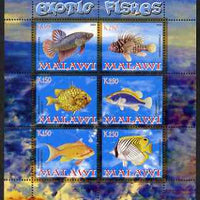 Malawi 2008 Exotic Fish perf sheetlet containing 6 values unmounted mint