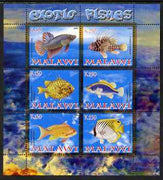 Malawi 2008 Exotic Fish perf sheetlet containing 6 values unmounted mint