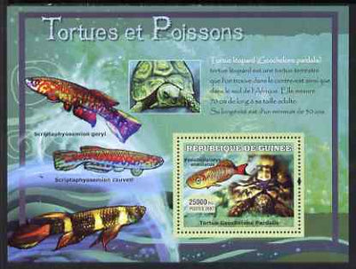 Guinea - Conakry 2007 Turtles & Fish perf souvenir sheet #2 unmounted mint Yv 523