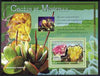 Guinea - Conakry 2007 Cacti & Minerals perf souvenir sheet #1 unmounted mint Yv 552