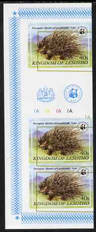 Lesotho 198 1WWF - Cape Porcupine 40s IMPERF inter-paneau strip of 3 with misplaced gold, unmounted mint