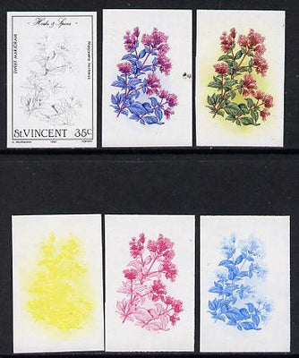 St Vincent 1985 Herbs & Spices 35c (Sweet Marjoram) set of 6 imperf progressive proofs comprising the 4 individual colours plus 2 & 3 colour composites (as SG 869)