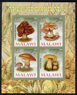 Malawi 2008 Fungi #3 imperf sheetlet containing 4 values, each with Scout logo unmounted mint