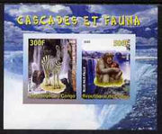 Congo 2008 Waterfalls & Animals (Zebra & Monkey) imperf sheetlet containing 2 values unmounted mint