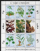 St Thomas & Prince Islands 1996 Medicinal Plants perf sheetlet containing 9 values unmounted mint