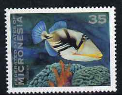 Micronesia 1993-96 Picasso Triggerfish 35c unmounted mint, SG 284