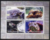 Congo 2005 Turtles perf sheetlet containing 4 values unmounted mint