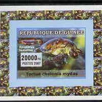 Guinea - Conakry 2007 Turtles & Fish individual imperf deluxe sheet #3, unmounted mint. Note this item is privately produced and is offered purely on its thematic appeal as Yv 524