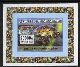 Guinea - Conakry 2007 Turtles & Fish individual imperf deluxe sheet #3, unmounted mint. Note this item is privately produced and is offered purely on its thematic appeal as Yv 524