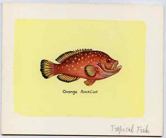 Eynhallow 1981 Fish #01 (Rock Cod) original artwork by Sharon File of the B L Kearley Studio, watercolour on board 140 x 115 mm plus issued perf sheetlet incorporating this image