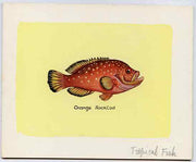 Eynhallow 1981 Fish #01 (Rock Cod) original artwork by Sharon File of the B L Kearley Studio, watercolour on board 140 x 115 mm plus issued perf sheetlet incorporating this image