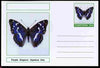 Chartonia (Fantasy) Butterflies - Purple Emperor (Apatura Iris) postal stationery card unused and fine