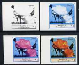 Equatorial Guinea 1976 Roses EK1 (Cheerio) set of 4 imperf progressive proofs on ungummed paper comprising 1, 2, 3 and all 4 colours (as Mi 972)