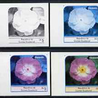 Equatorial Guinea 1976 Roses EK5 (Escapade) set of 4 imperf progressive proofs on ungummed paper comprising 1, 2, 3 and all 4 colours (as Mi 974)