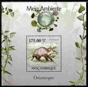 Mozambique 2010 The Environment - Aardvarks perf souvenir sheet unmounted mint Michel BL 306